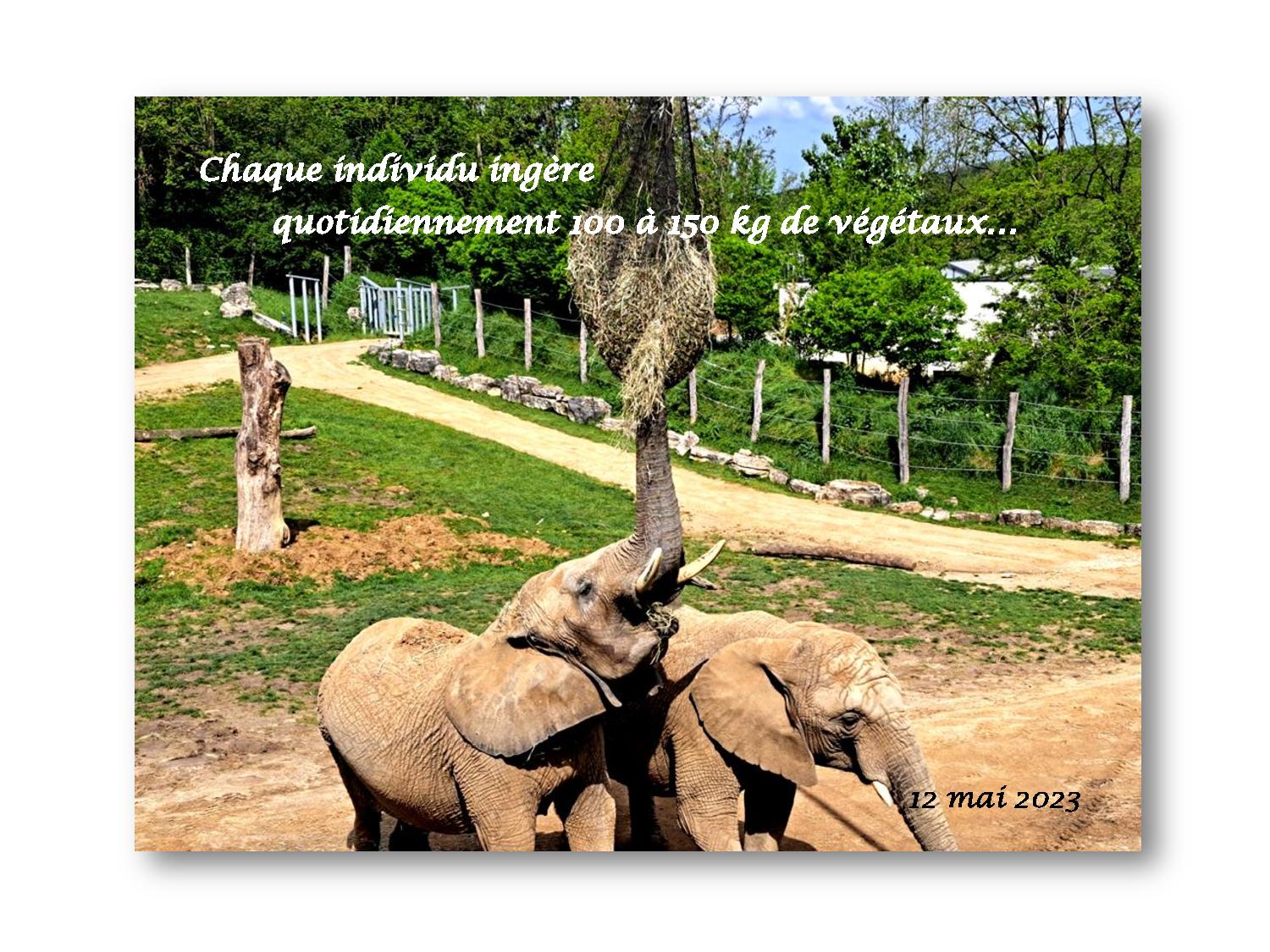 Beauval 017 219 2023 05 12-page-001