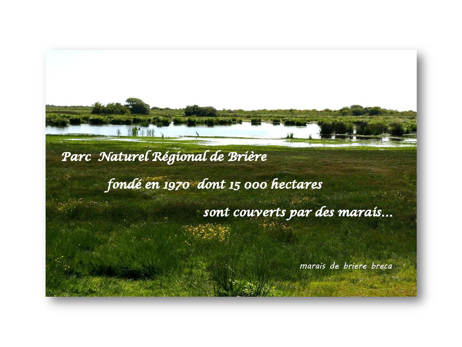 Marche 809 Brière 2021 06 07-page-001