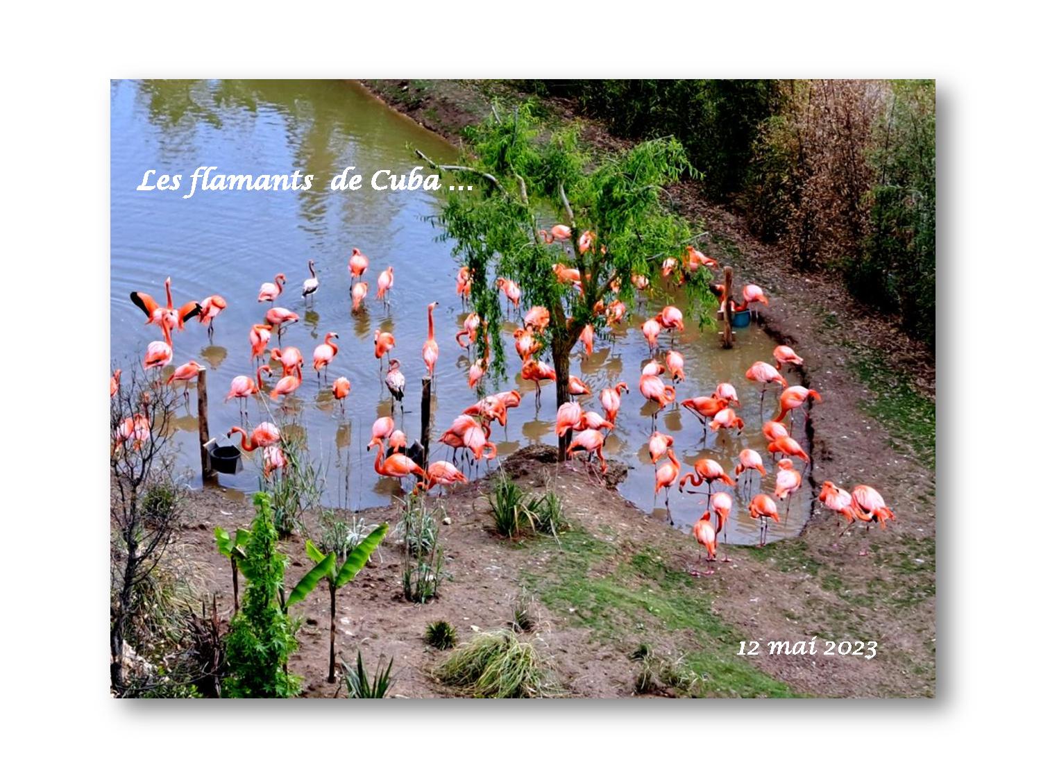 Beauval 034 438 2023 05 12-page-001