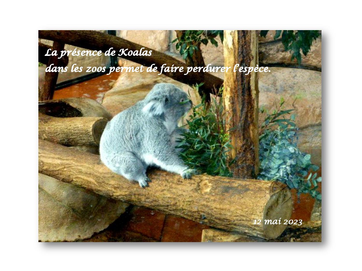 Beauval 014 745 2023 05 12-page-001