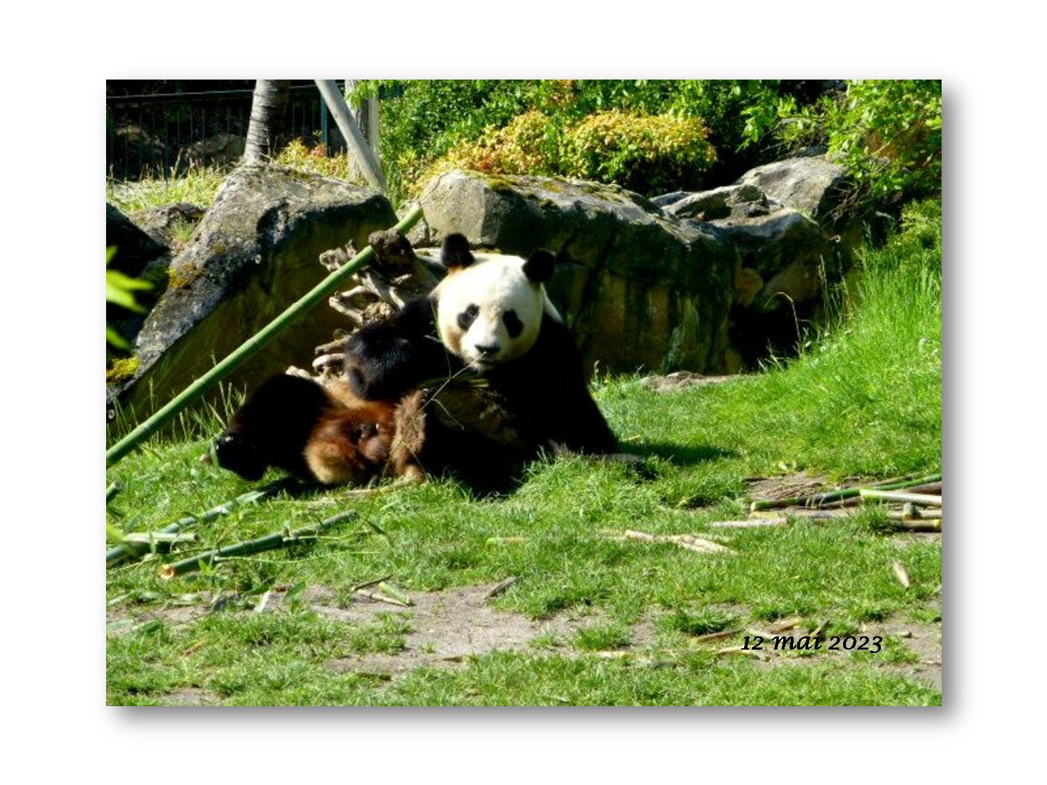 Beauval 012 741 2023 05 12-page-001