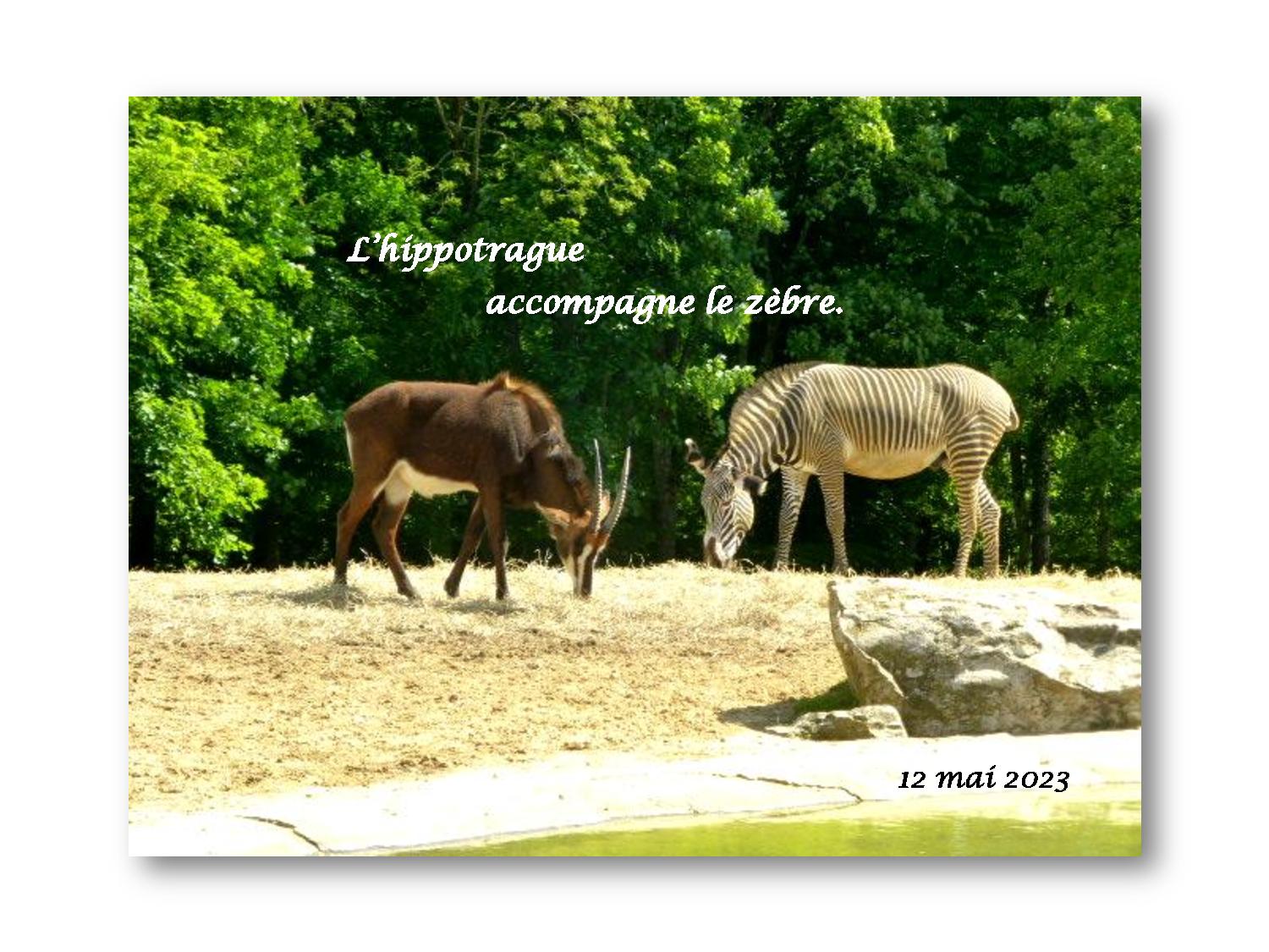 Beauval 040 781 2023 05 12-page-001