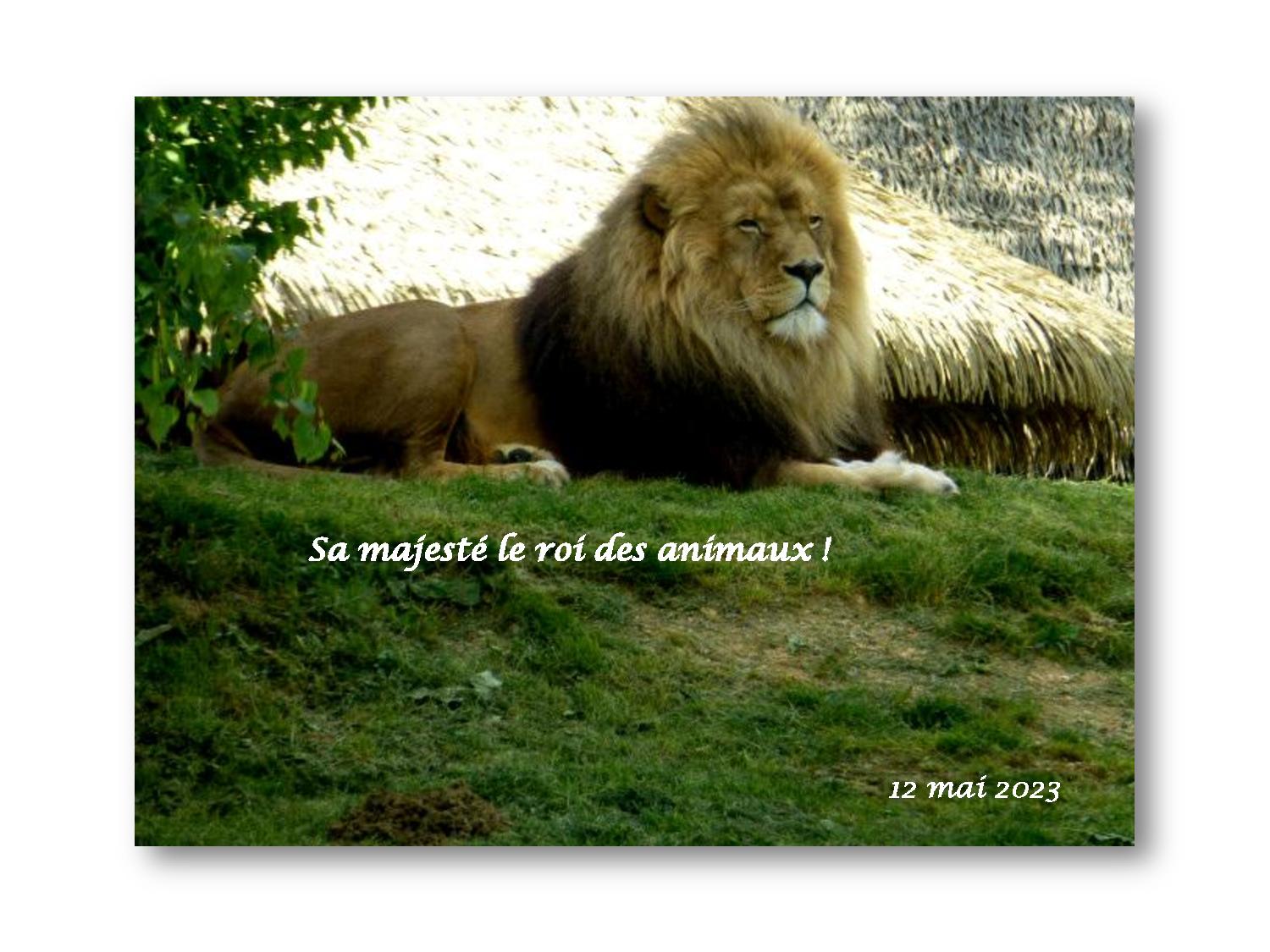 Beauval 044 798 2023 05 12-page-001