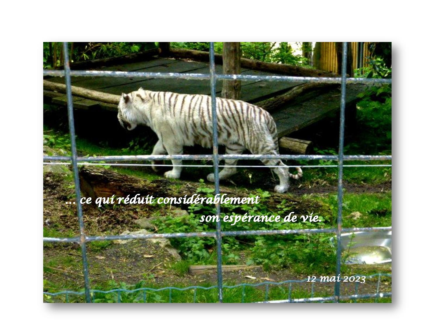 Beauval 042 785 2023 05 12-page-001