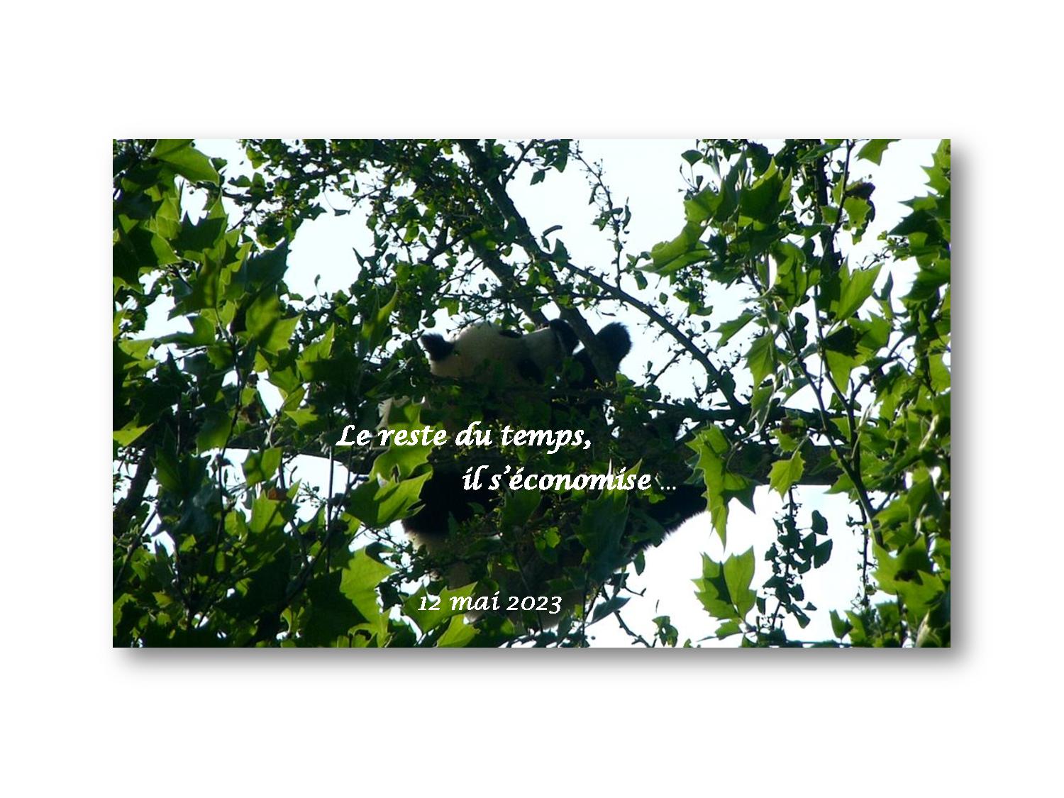 Beauval 010 732 2023 05 12-page-001