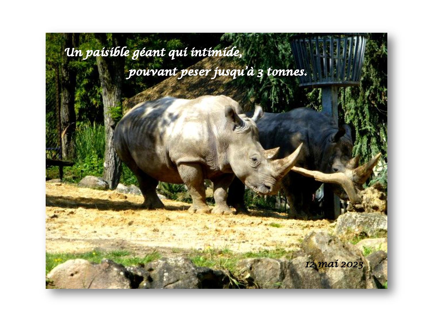 Beauval 037 779 2023 05 12-page-001