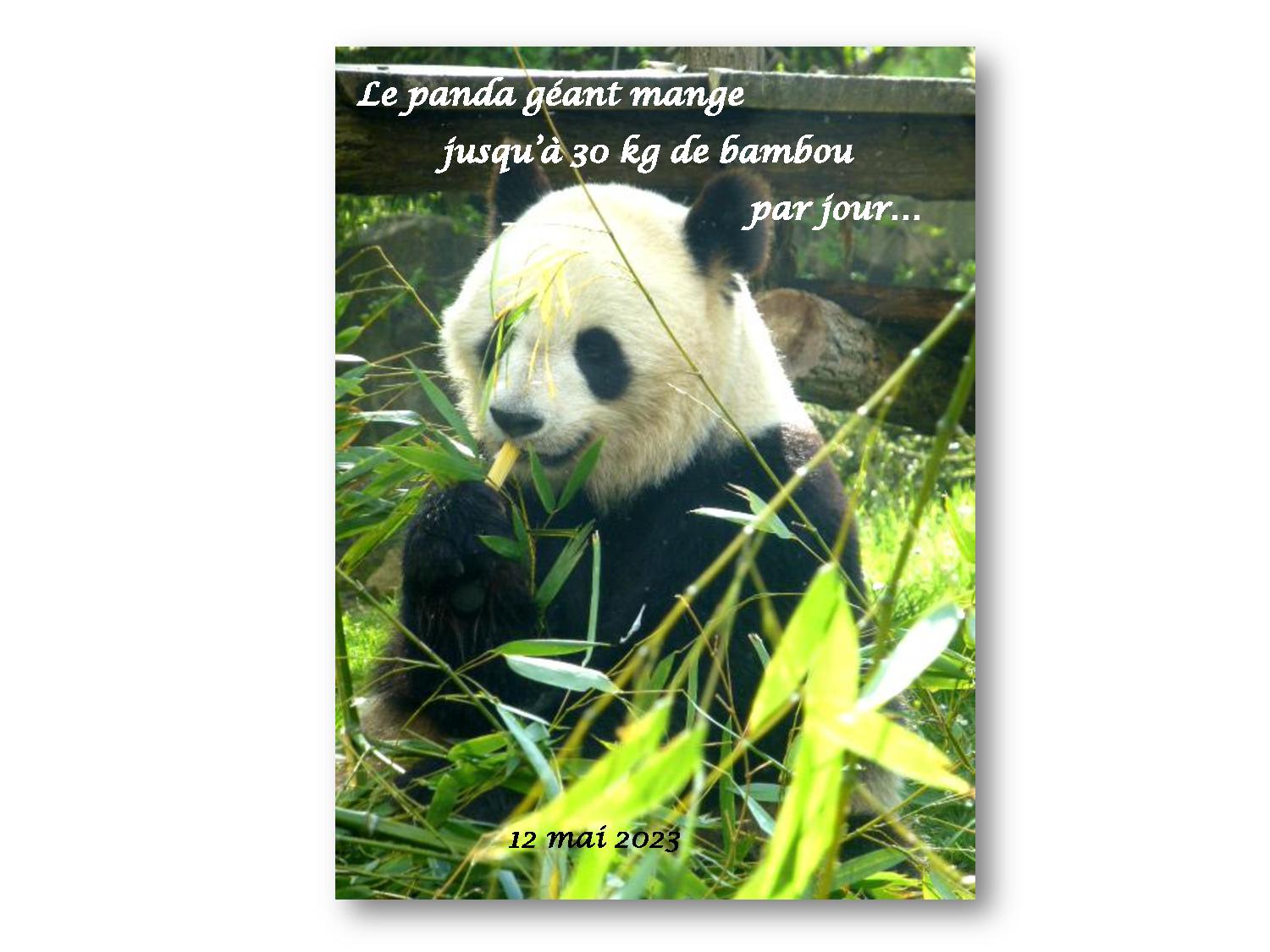 Beauval 006 729 2023 05 12-page-001