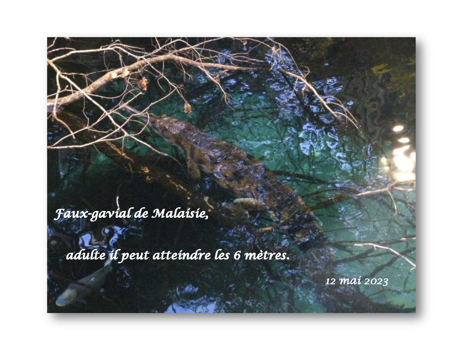 Beauval 033 771 2023 05 12-page-001