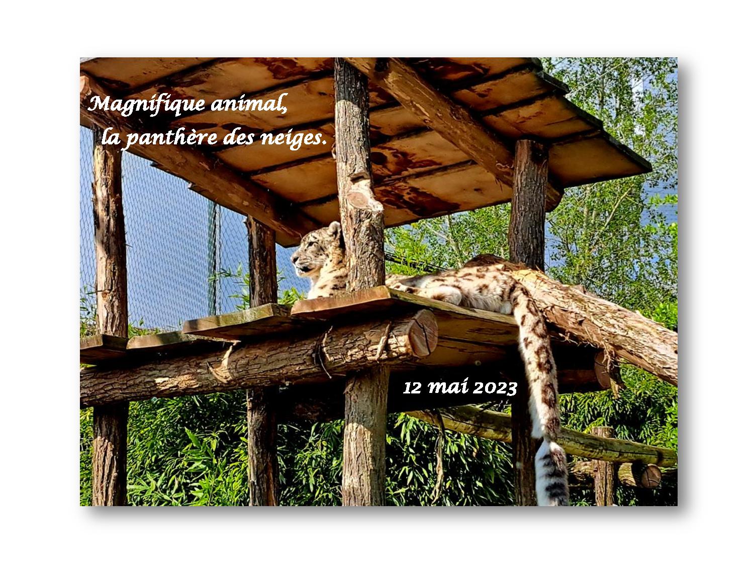 Beauval 037 a 606 2023 05 12-page-001