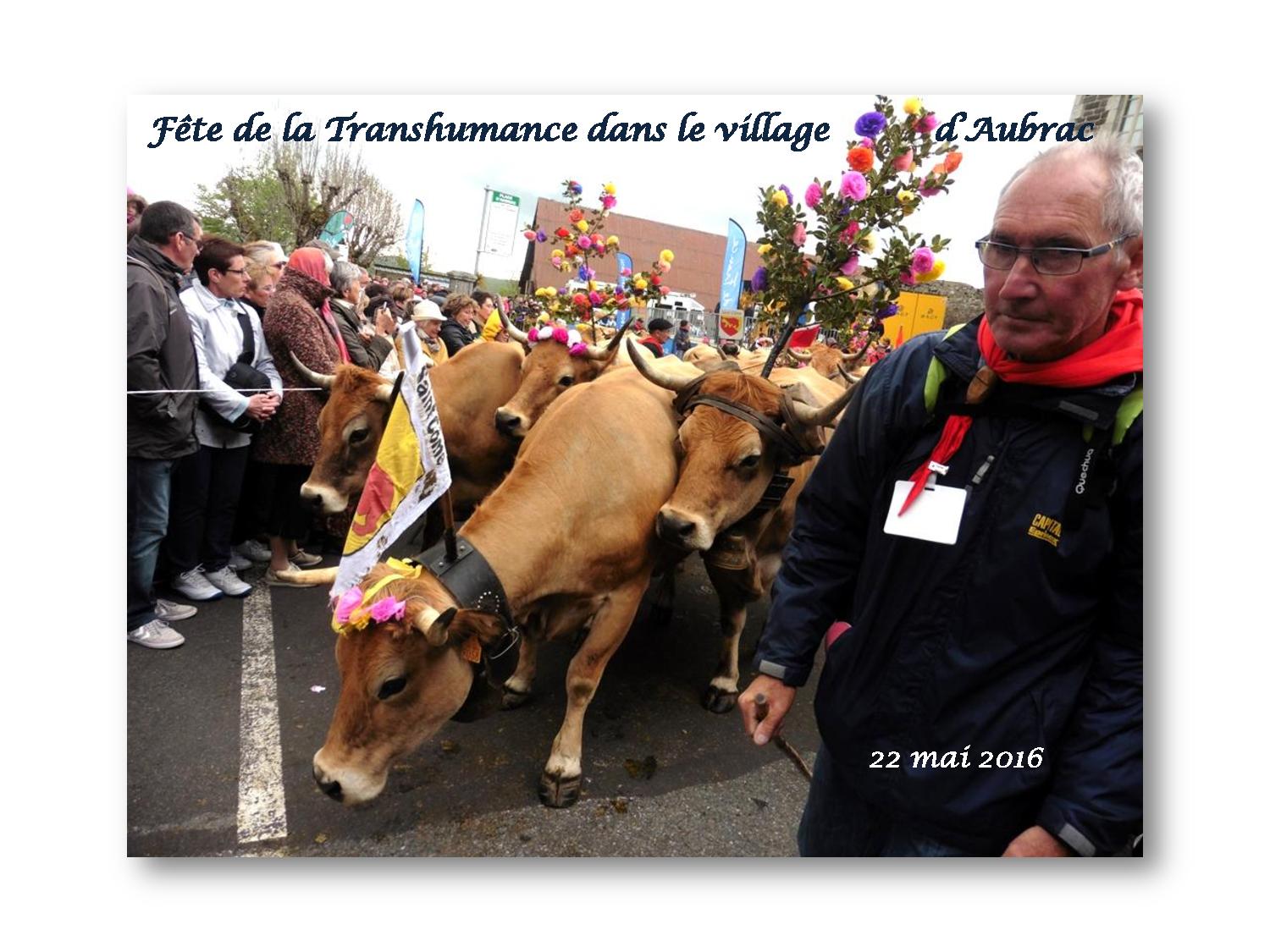 Aubrac 004 037 2016 05 22-page-001