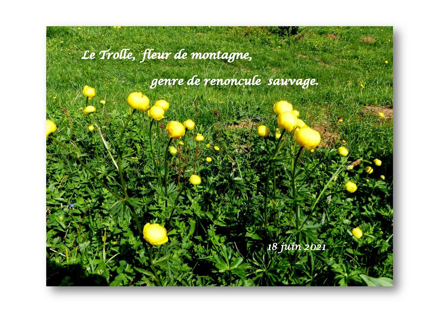Hte Savoie 035 608 2021 06 18-page-001