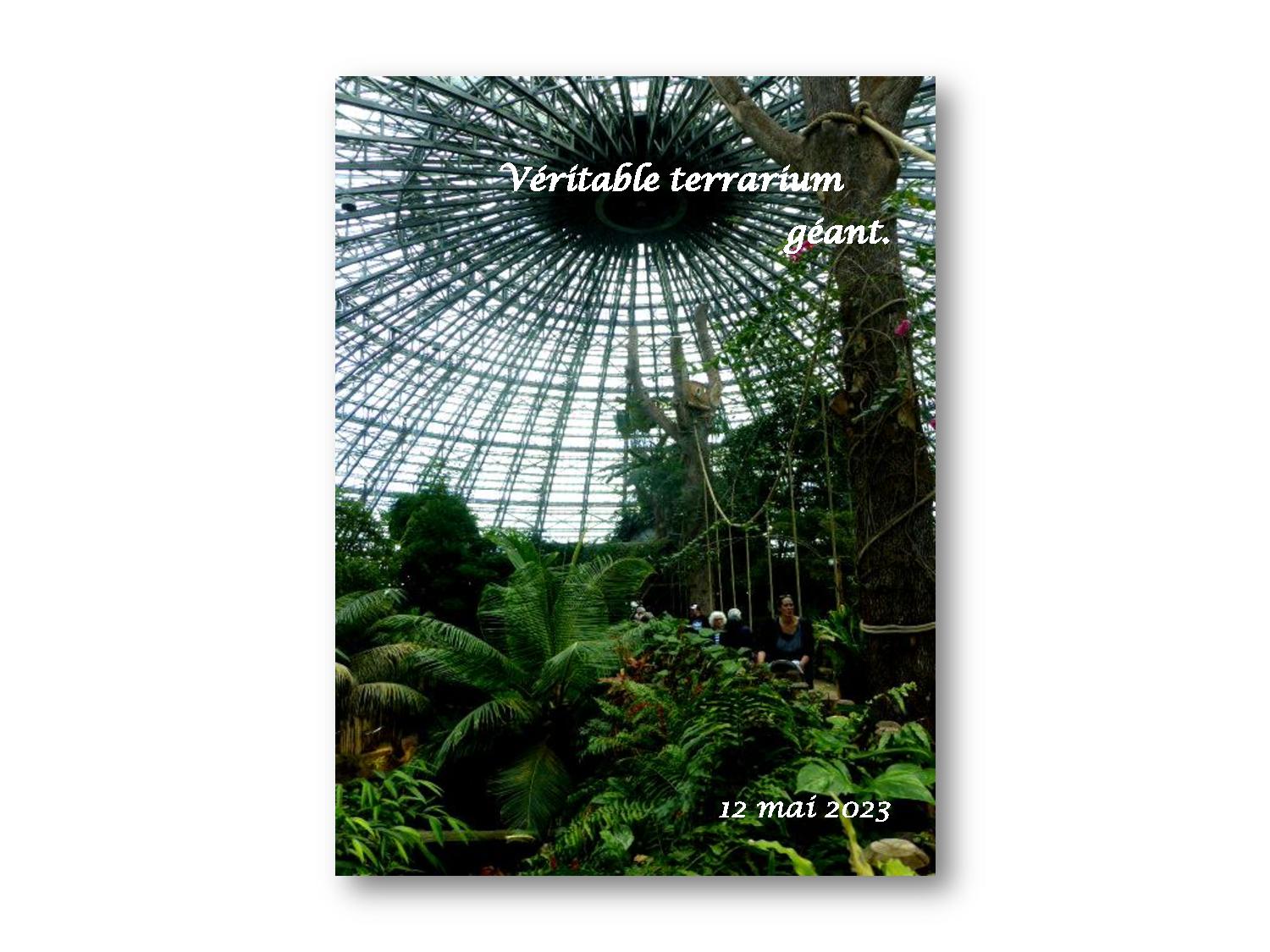 Beauval 029 768 2023 05 12-page-001