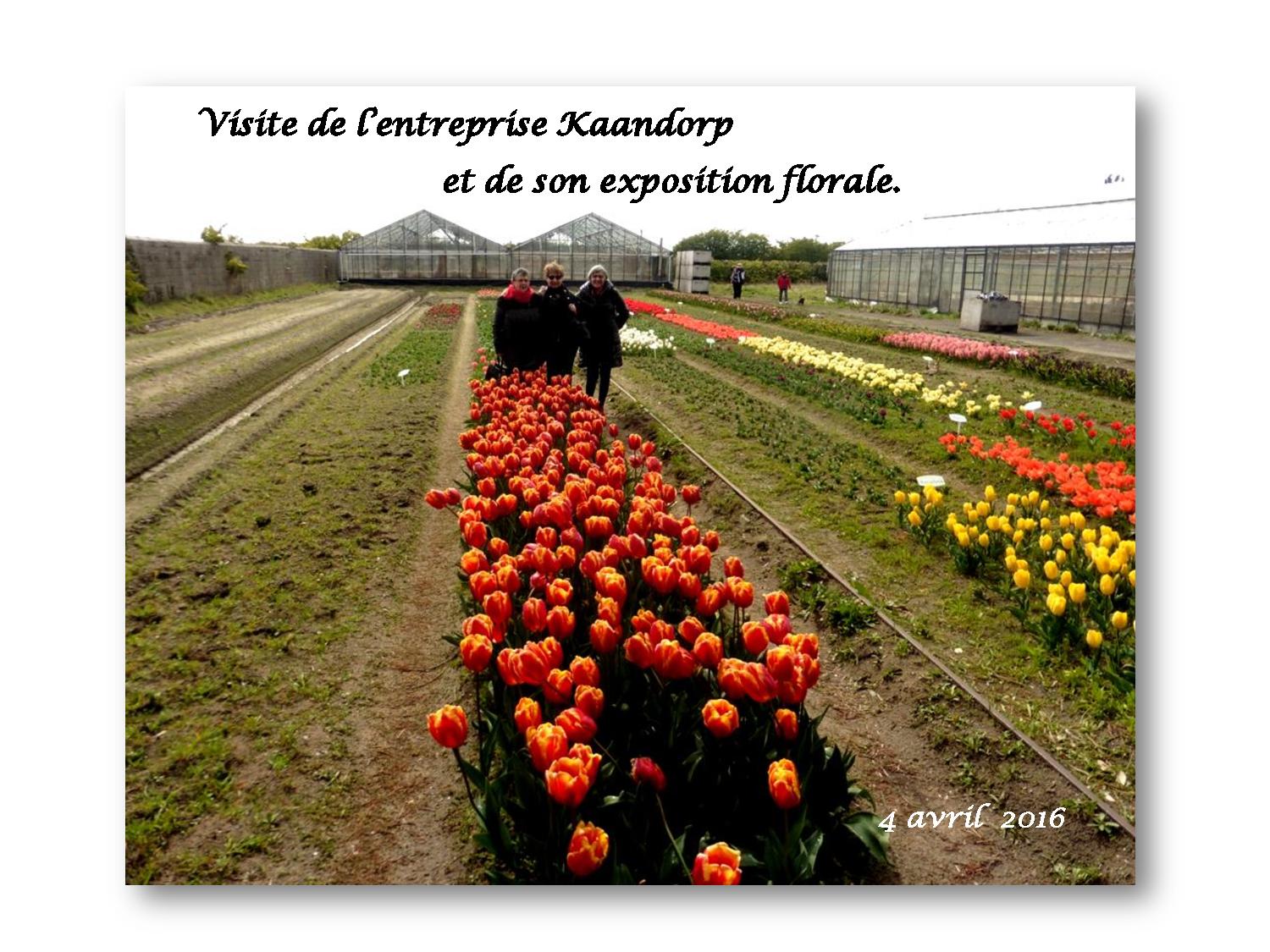 Pays Bigouden 010 2016 04 04-page-001