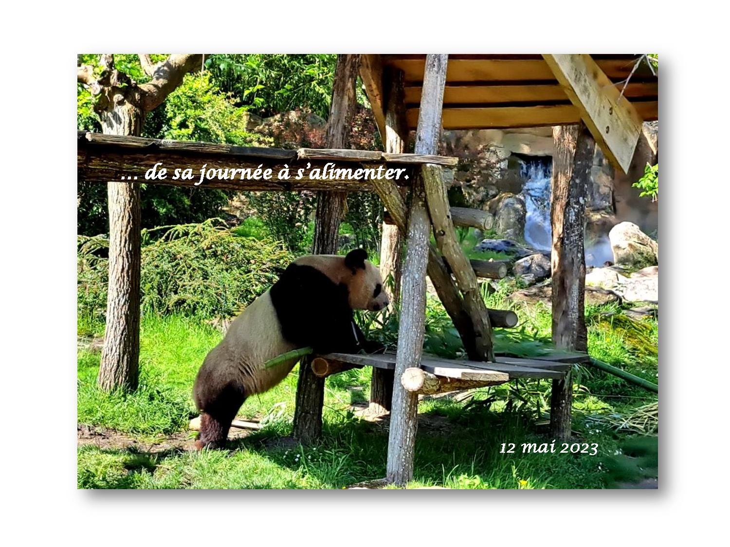 Beauval 008 026 2023 05 12-page-001