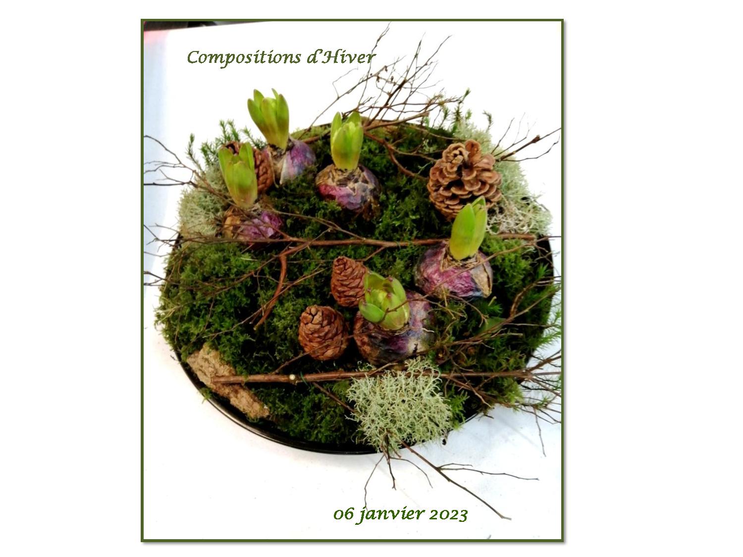 Art Floral 321 2023 01 06-page-001
