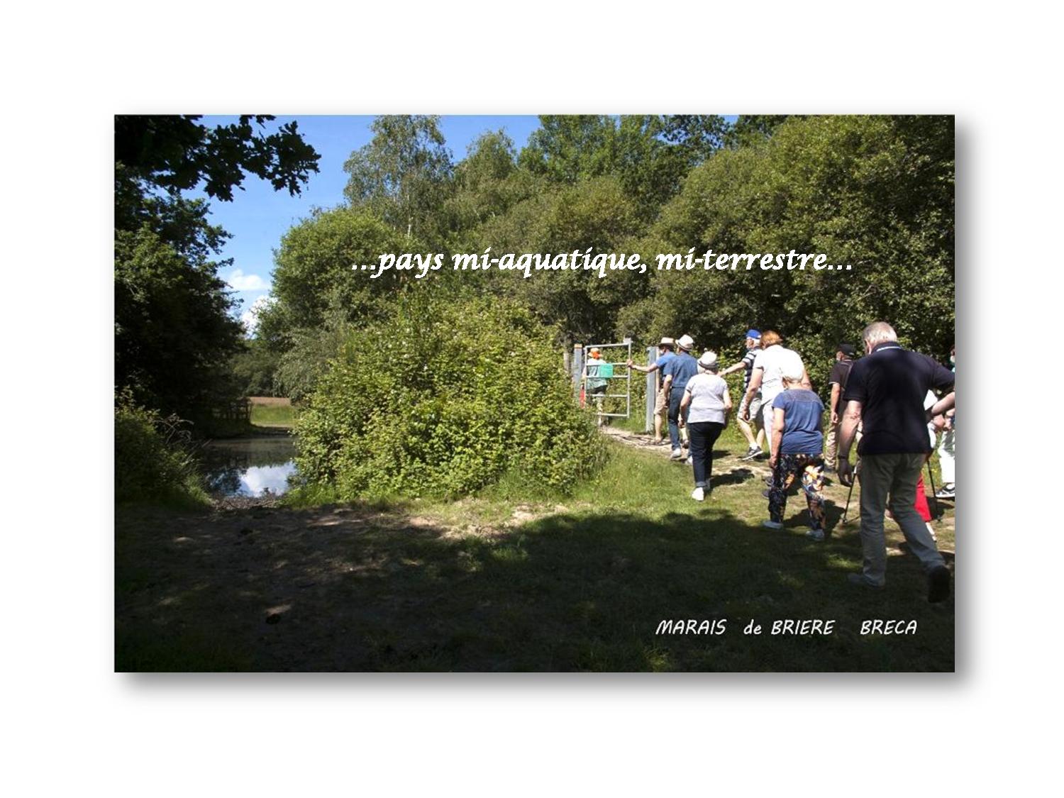 Marche 820 Brière 2021 06 07-page-001