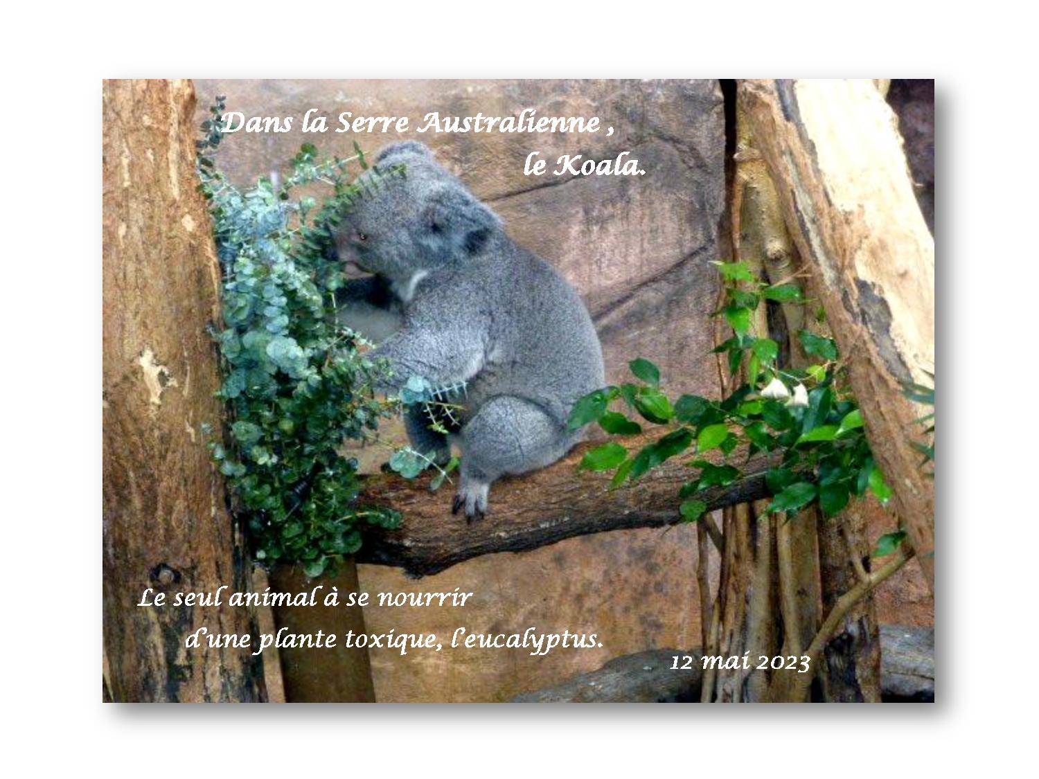 Beauval 013 744 2023 05 12ea-page-001