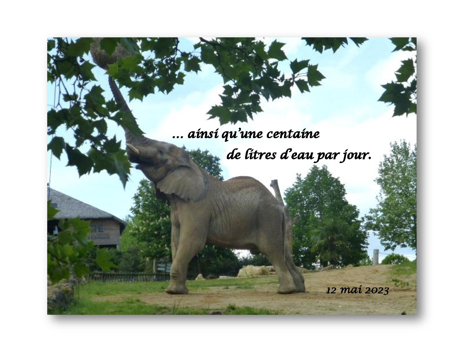 Beauval 018 755 2023 05 12-page-001