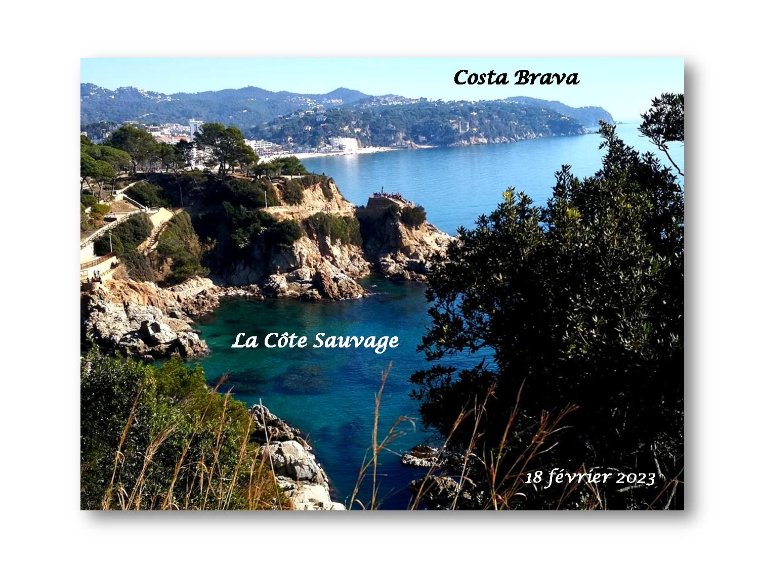 C. Brava 001 240 2023-page-001