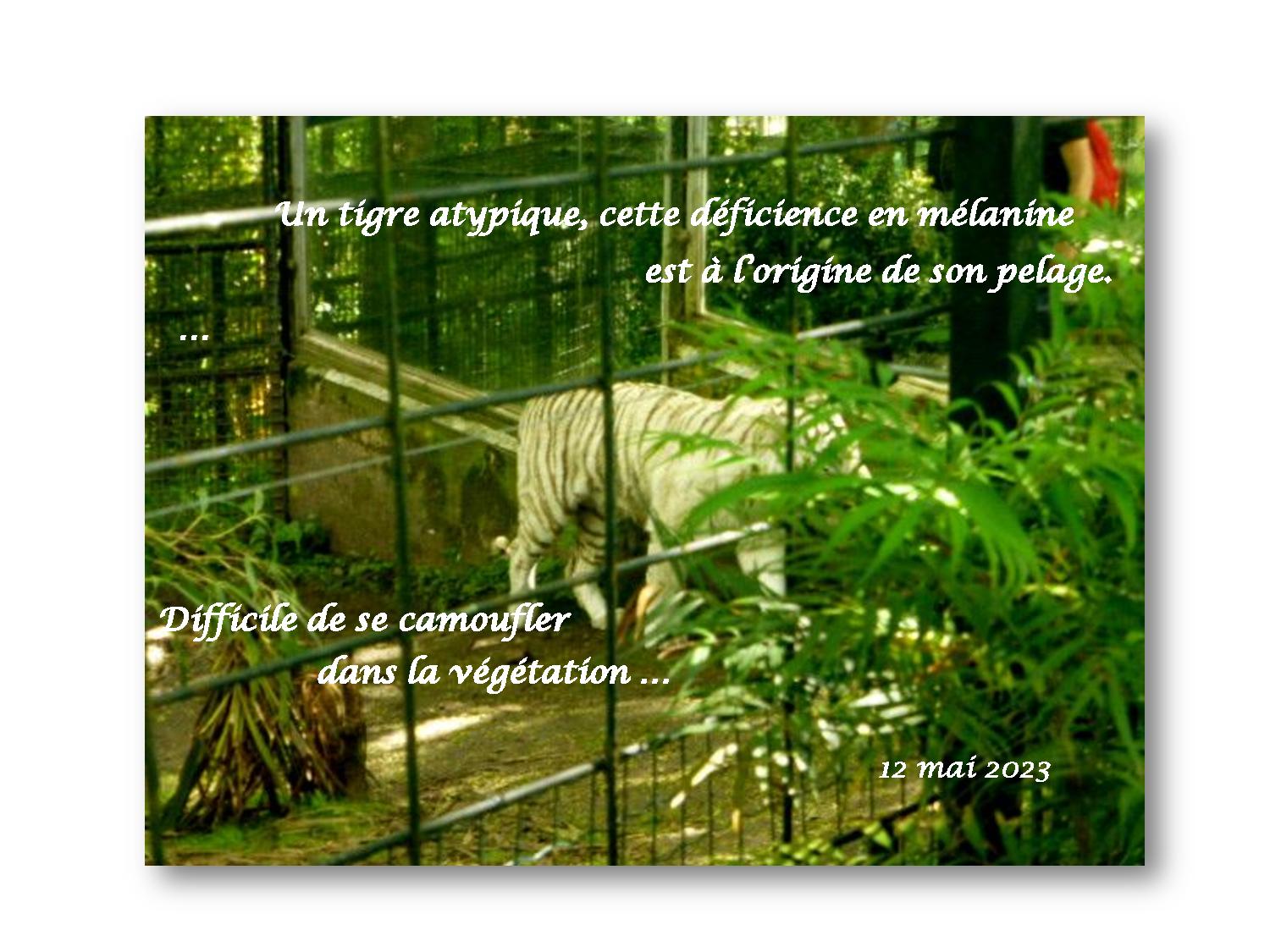 Beauval 041 783 2023 05 12-page-001