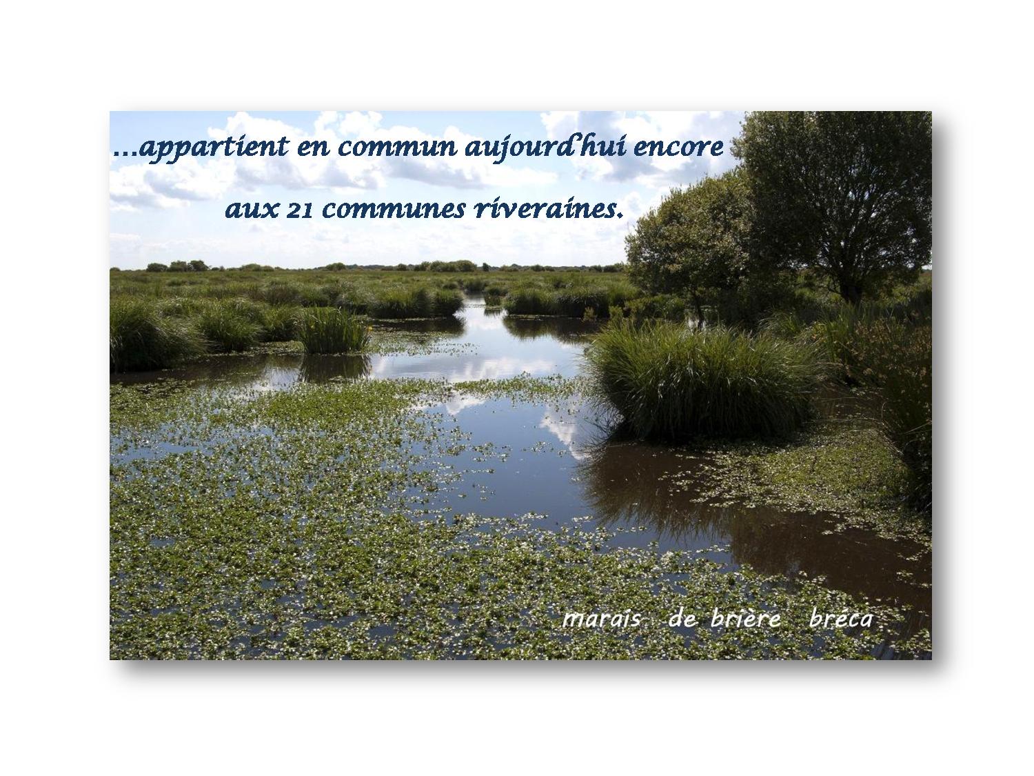 Marche 841 Brière 2021 06 07-page-001