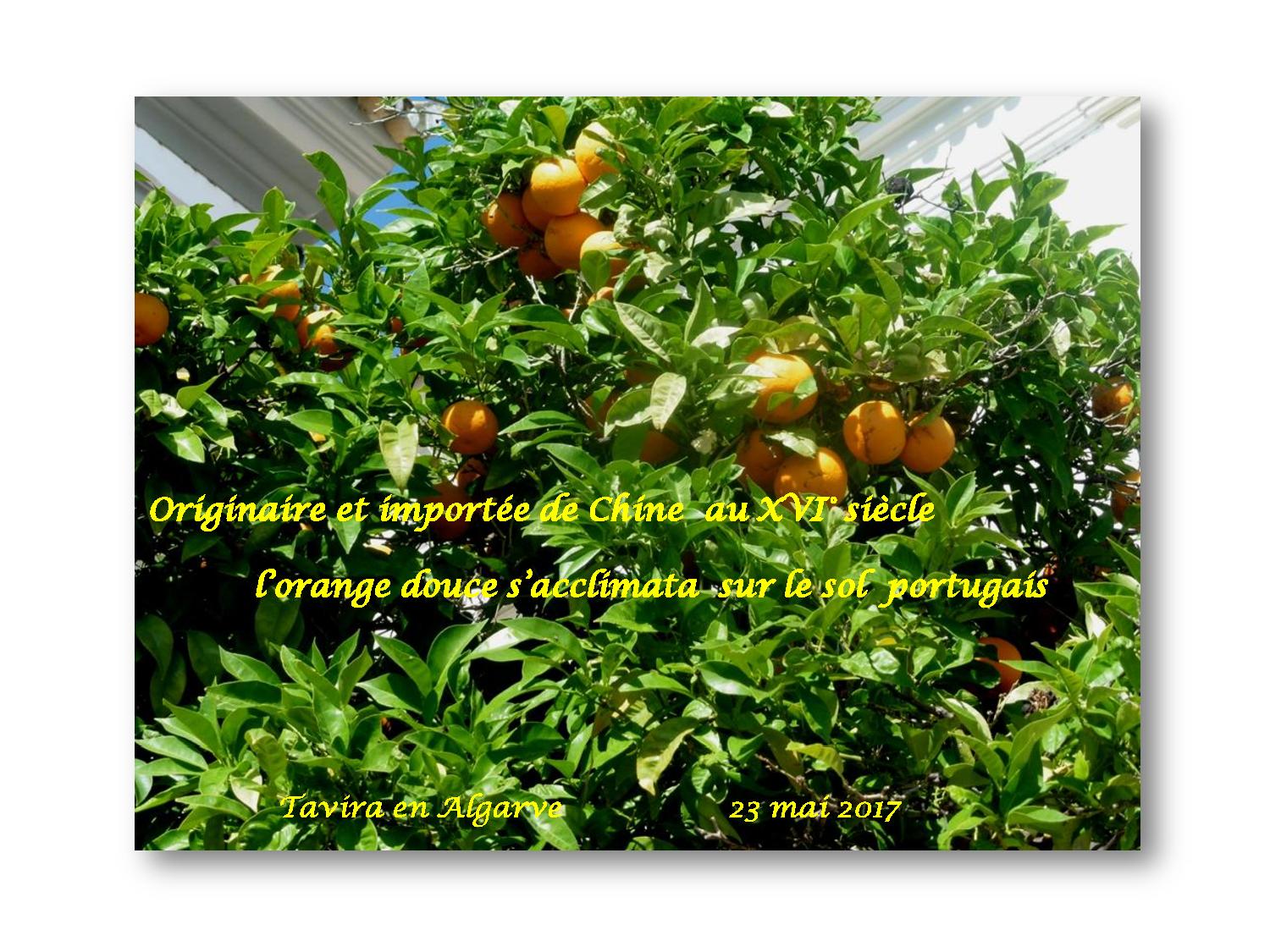 Portugal 001 959 2017 05 23-page-001