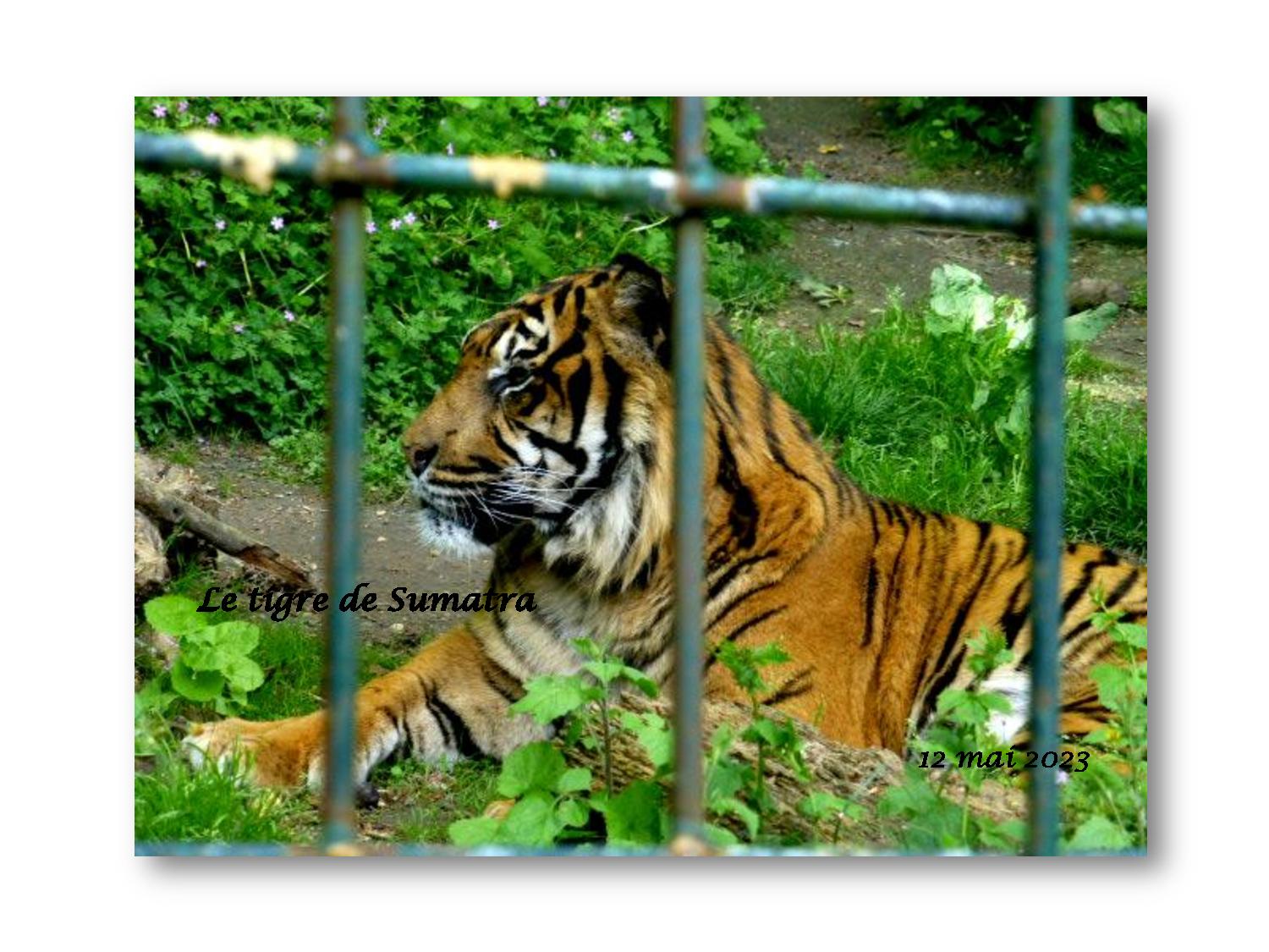 Beauval 036 777 2023 05 12-page-001