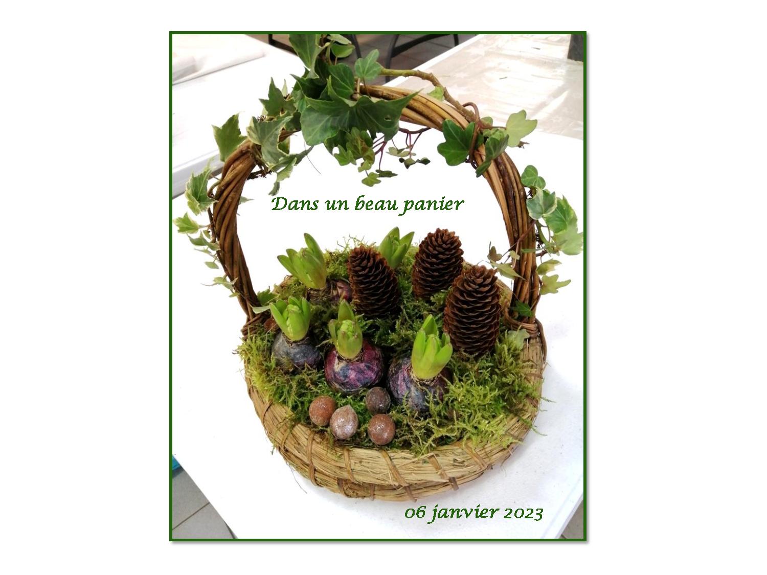 Art Floral 346 2023 01 06-page-001