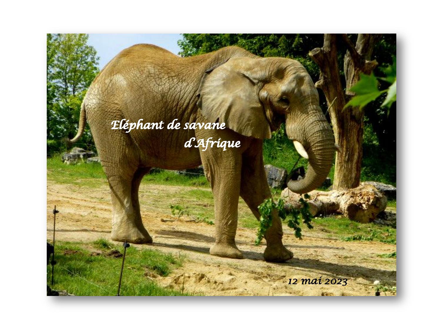 Beauval 016 757 2023 05 12-page-001