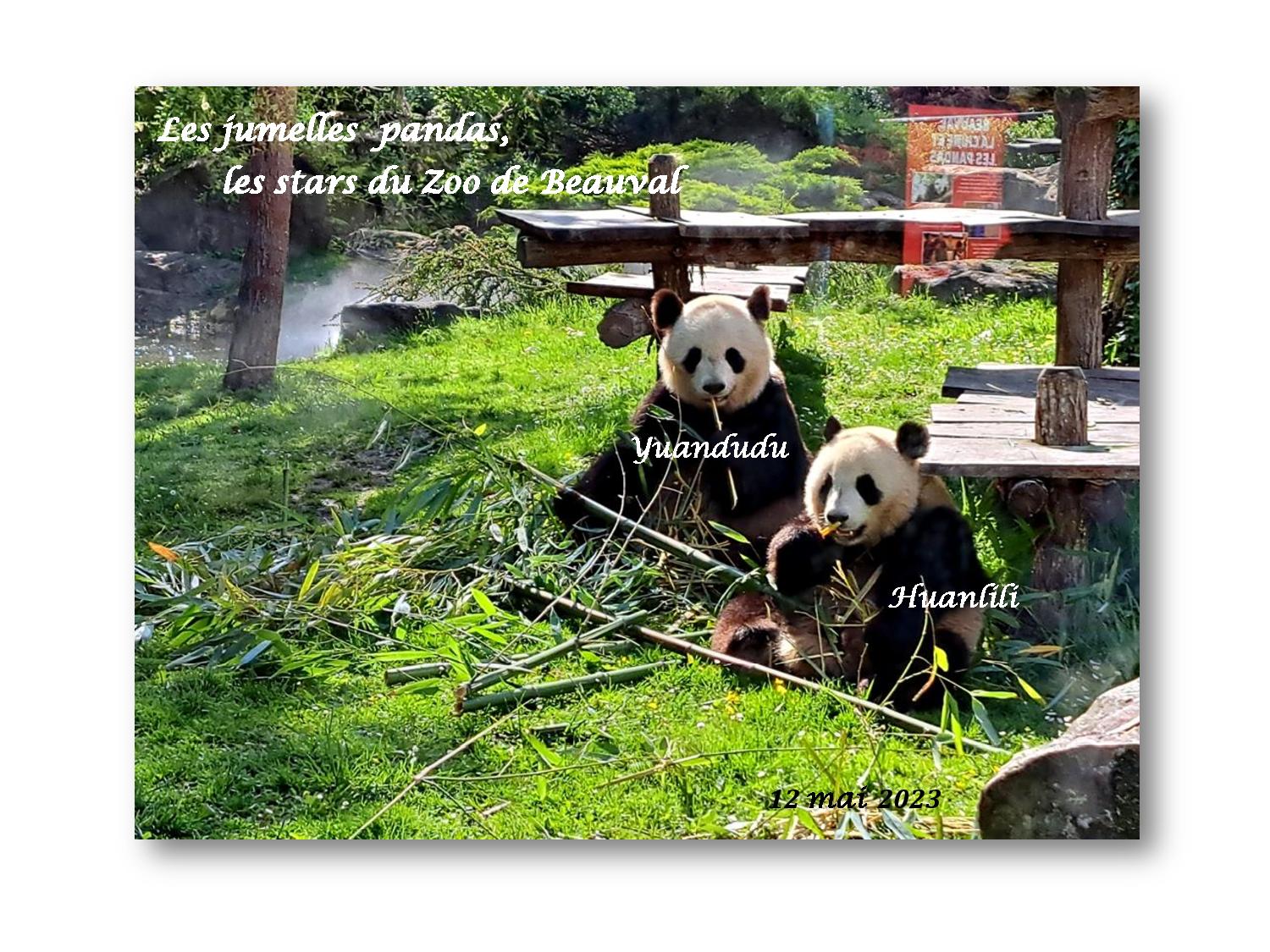 Beauval 005 149 2023 05 12-page-001