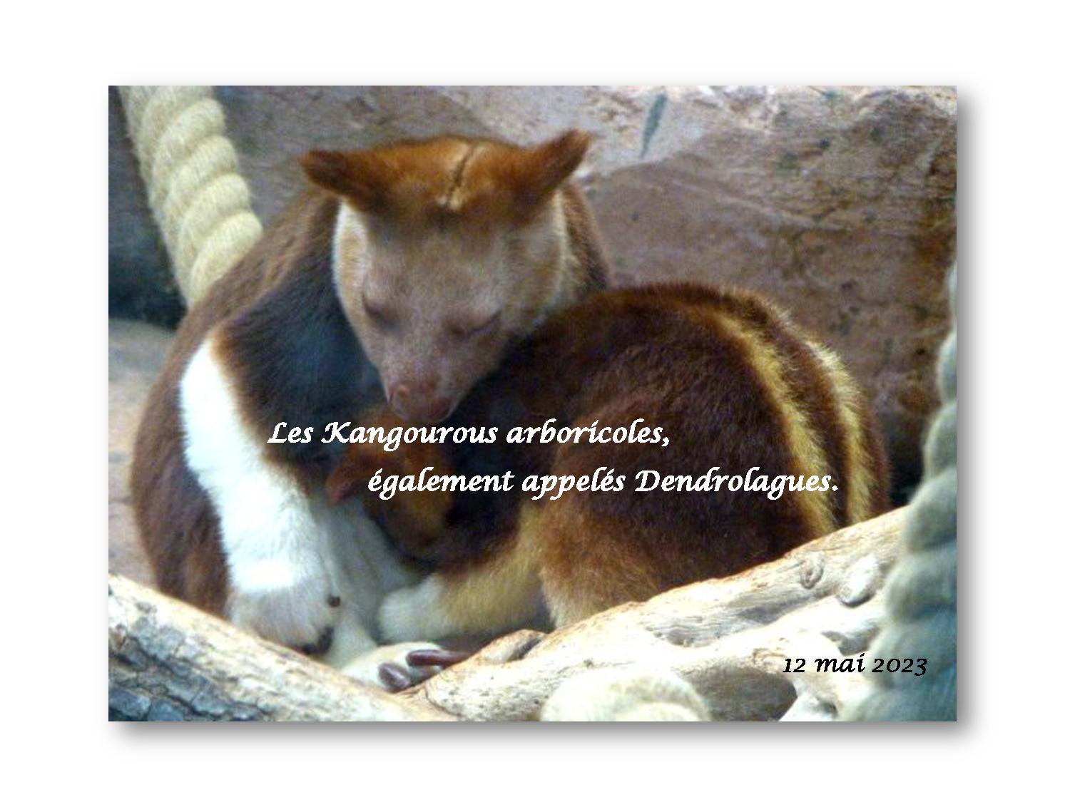 Beauval 015 749 2023 05 12-page-001