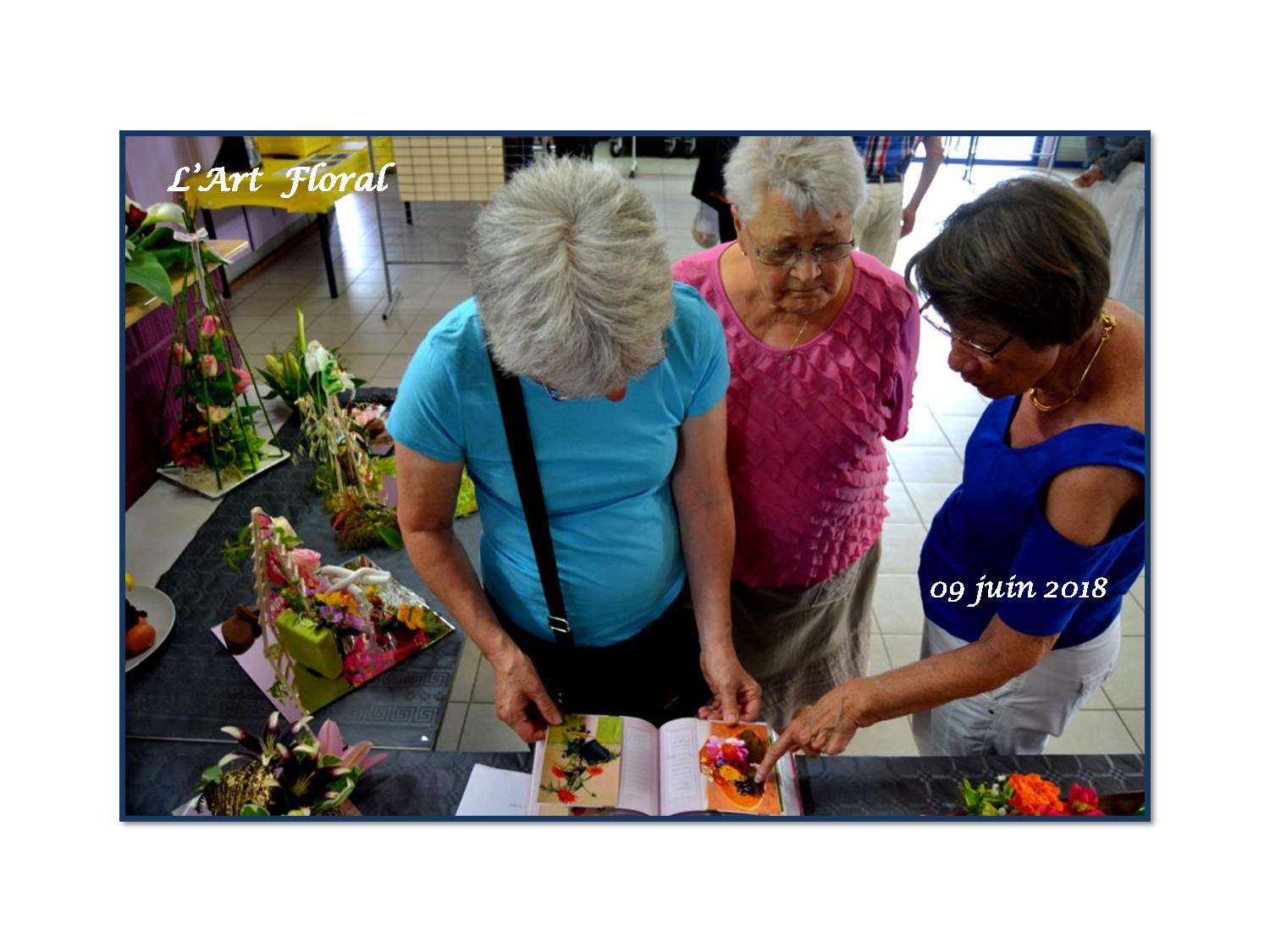 P.Ouvertes 004 024 2018 06 09-page-001