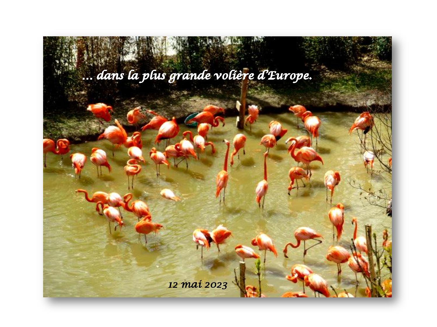 Beauval 035 772 2023 05 12-page-001