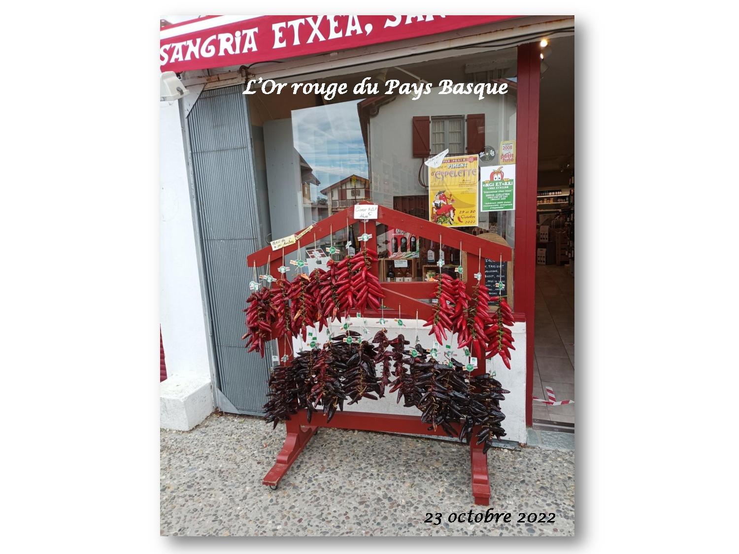 Pays Basque 017 223 2022 10 23-page-001