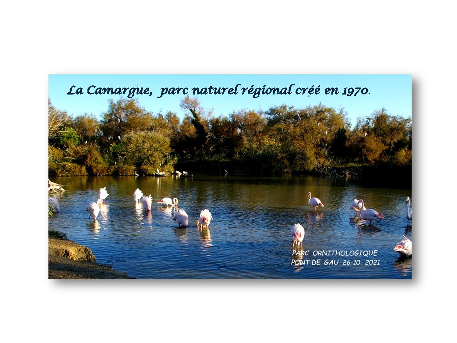 Camargue 001 761 2021 10 26-page-001