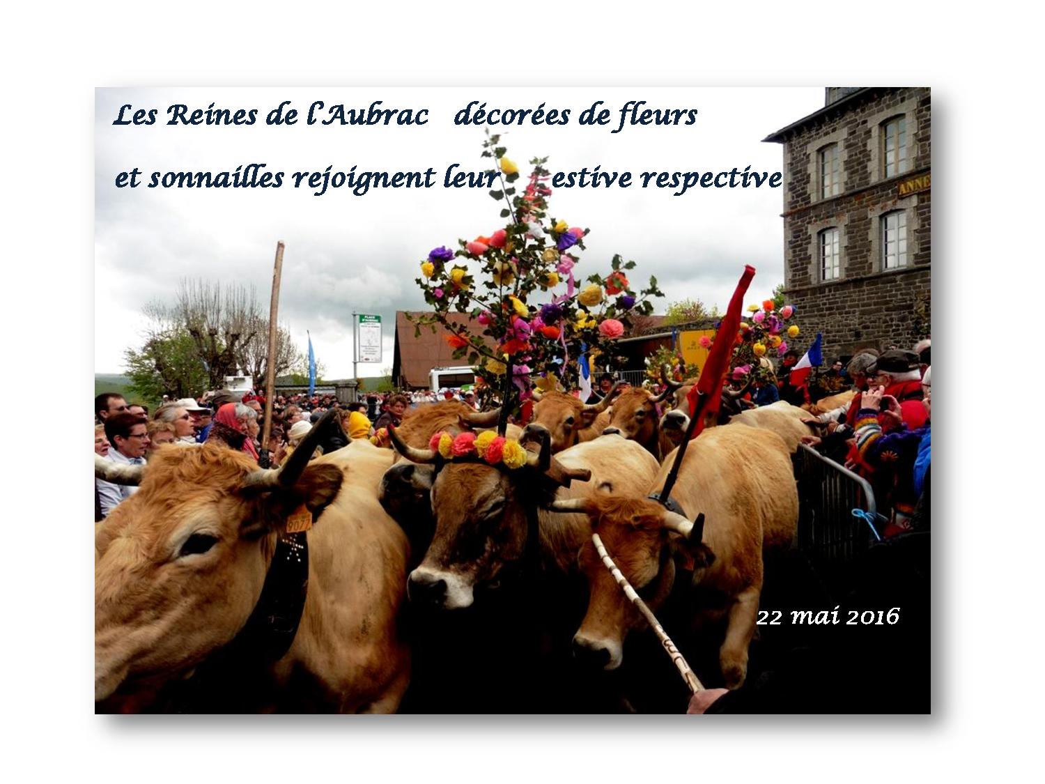 Aubrac 005 038 2016 05 22-page-001