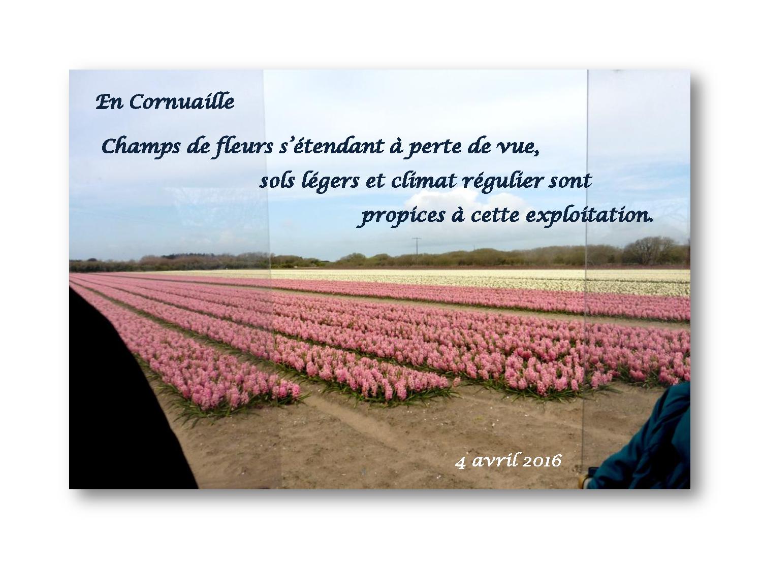 Pays Bigouden 011 2016 04 04-page-001