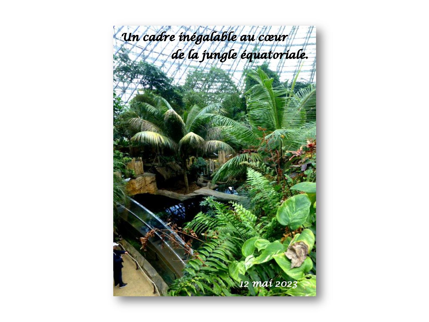 Beauval 031 770 2023 05 12-page-001