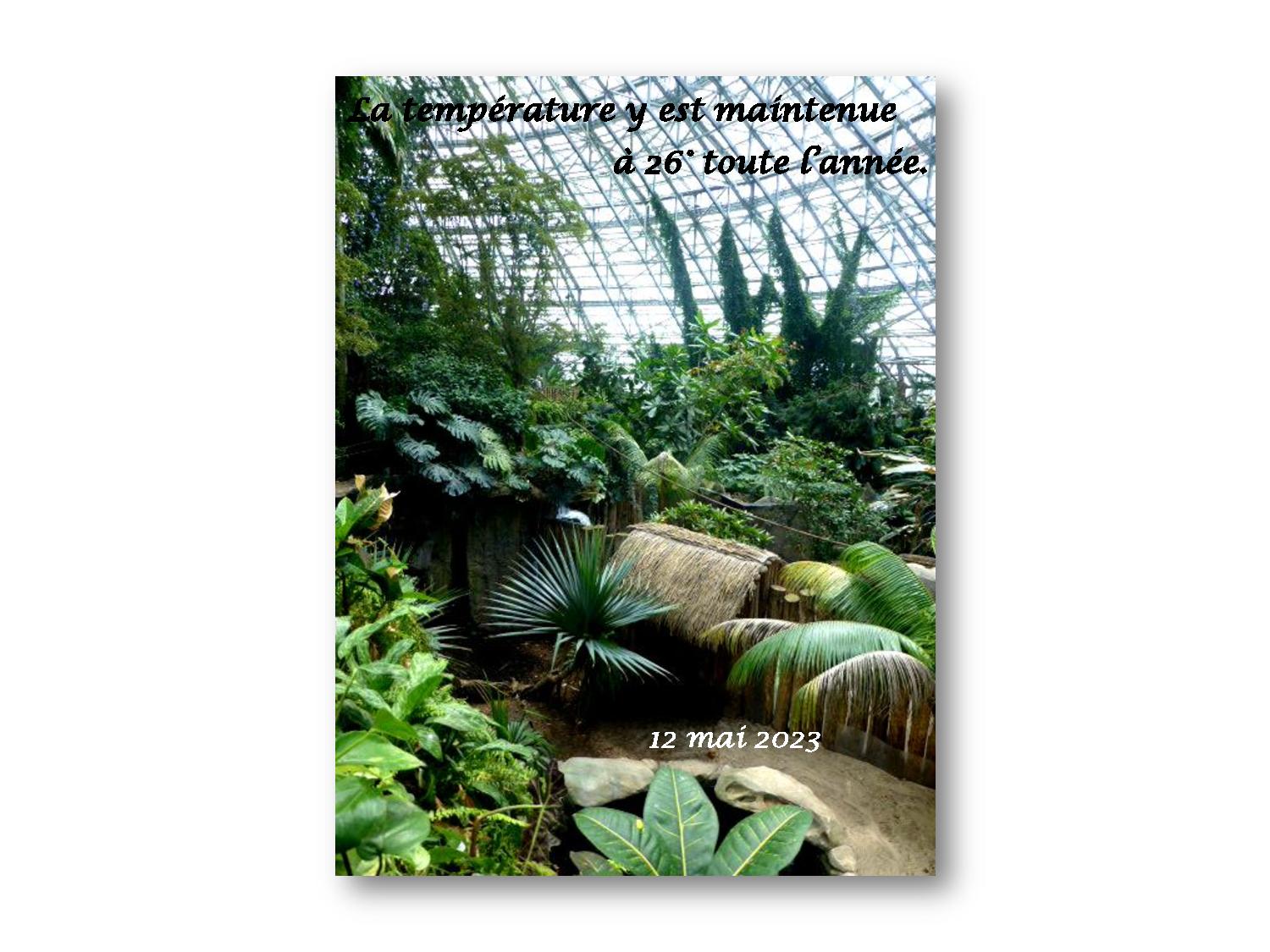 Beauval 030 769 2023 12 05-page-001
