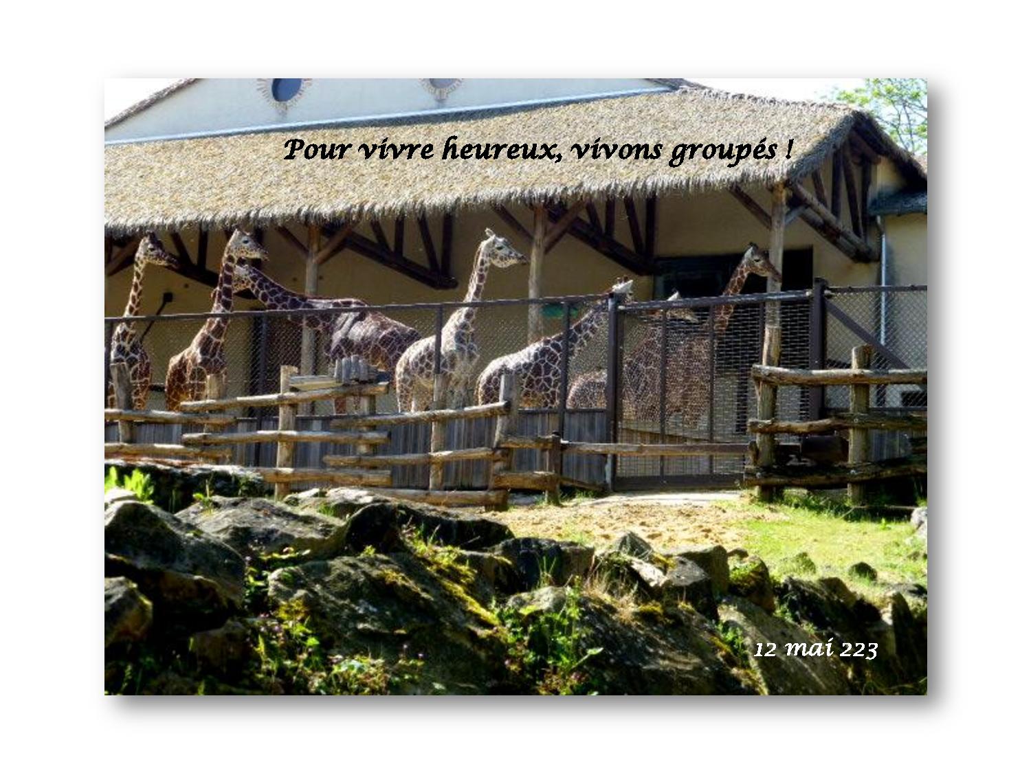 Beauval 038 780 2023 05 12-page-001